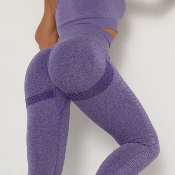 Seamless High-Waisted Contouring Legging